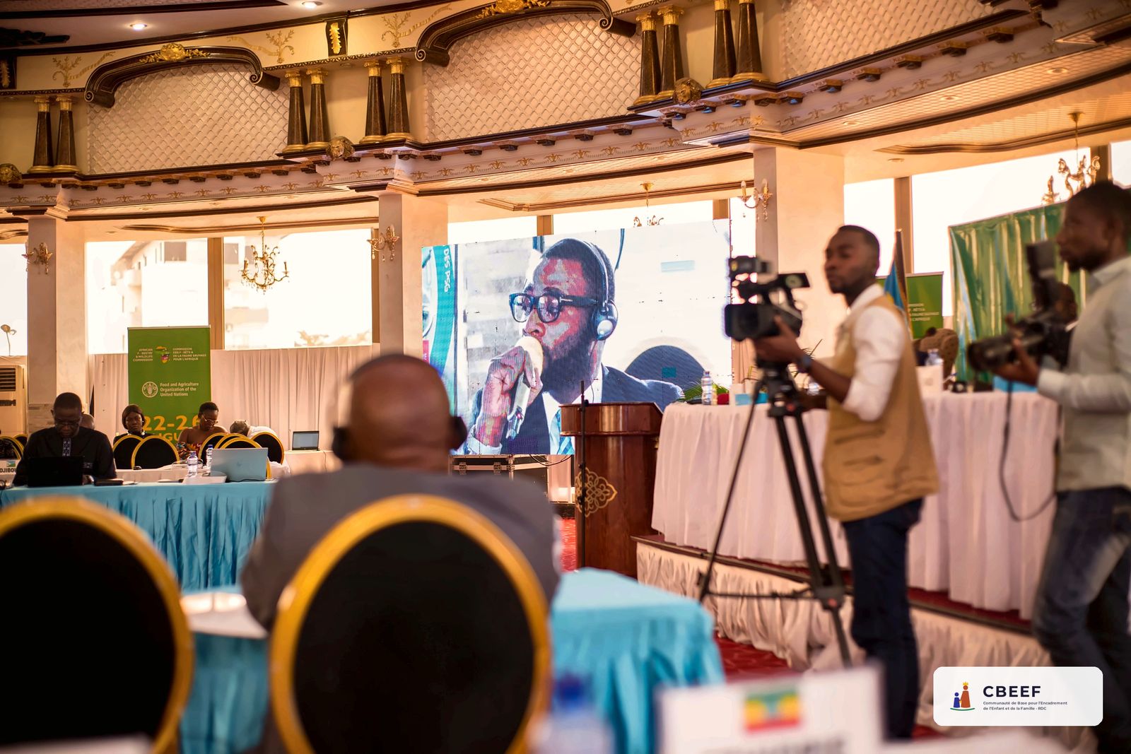 CBEEF at the 23rd session of the African Forestry and Wildlife Commission, Kinshasa, August 2022